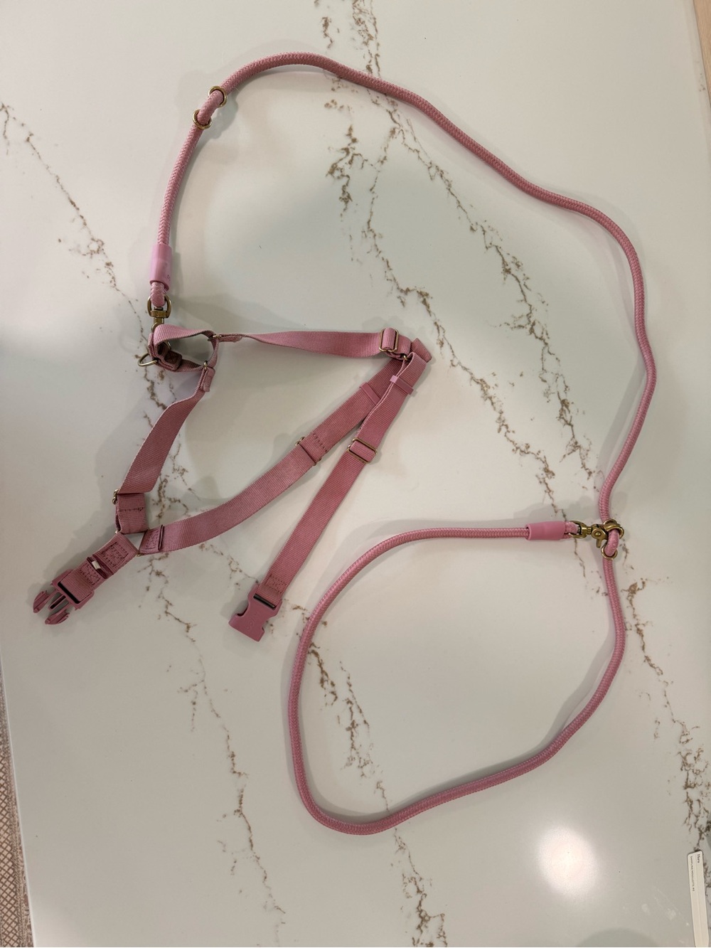 AWOO Roam Harness in Large & Infinity Leash